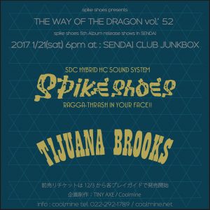 spikeshoes20170121